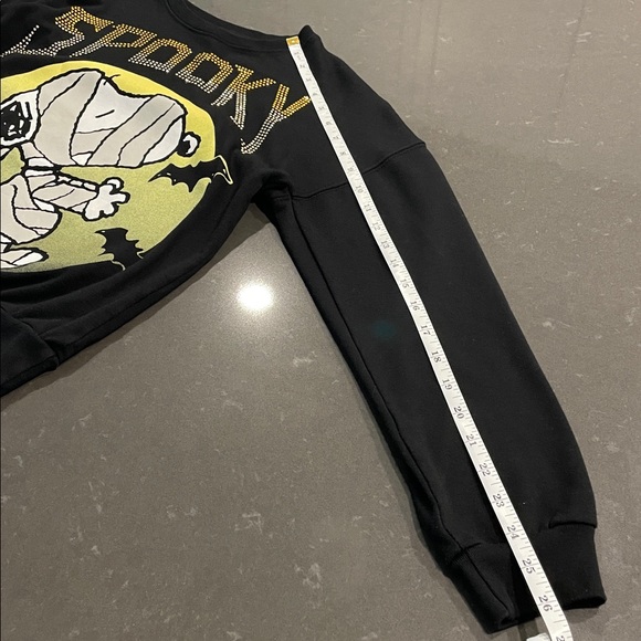 Peanuts Snoopy and Woodstock Halloween Crewneck Sweater Extra Small - Picture 16 of 16